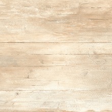 FOREST WOOD BEIGE Tile, Size : 300 x 600mm, 600 x 600mm, 800 x 800mm