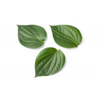 Leaves Betel Leaf Oil, Certification : CE, GMP, MSDS, COA