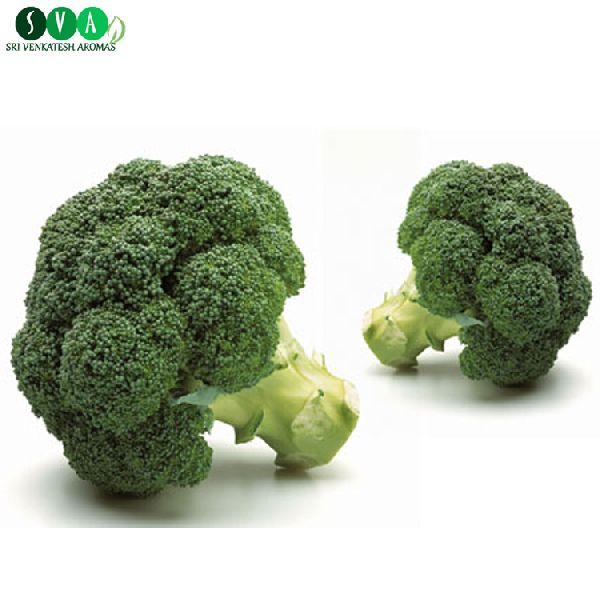 Conventional Broccoli Seed Oil