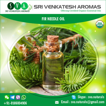 Organic Fir Needle Essential Oil, Certification : GMP, MSDS, COA