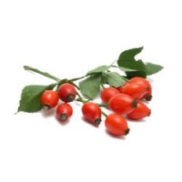 Rose Hip Seed Oil