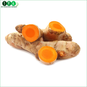  Root Turmeric Essential Oil, Certification : CE, GMP, MSDS, COA