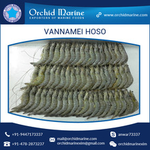 Orchid Marine Headless Frozen Hoso Shrimp, Certification : HACCP