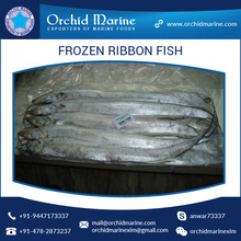 Orchid Marine Frozen Ribbon Fish, Shape : Piece