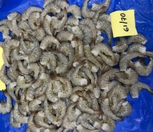 vannamei shrimp