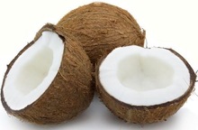Semi-Husked Common Organic Coconut, Color : Brown