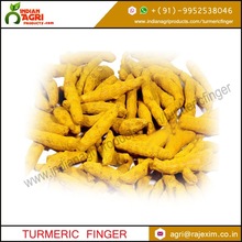 Turmeric finger, Form : Powder