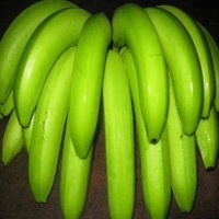 Common Cavendish Banana, Certification : SGS, ISO