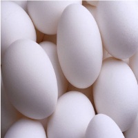 White Chicken Eggs