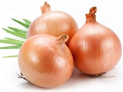 Yellow Onions, Shape : Squat to rounded squat