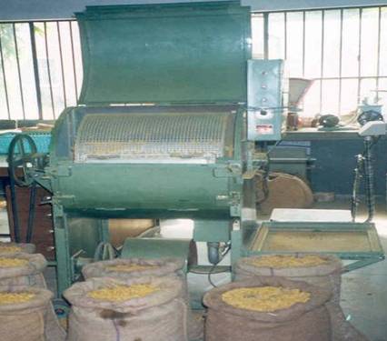 Pulses Dryer, for Food Industry