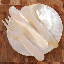 Mother of pearl spoon and knife cutlery