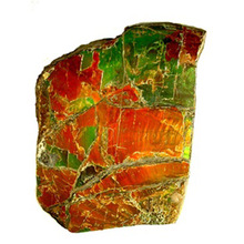 Ammolite Raw Rough Natural Stone Uncut, Gemstone Color : Mutli Color