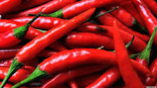 Common Fresh Red Chilli, for Making Pickles, Powder, Packaging Type : Gunny Bags