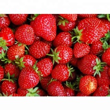 strawberry fruit