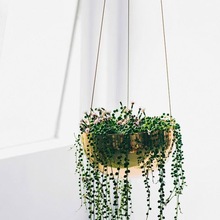 MDI Metal Hanging Brass Flower vase