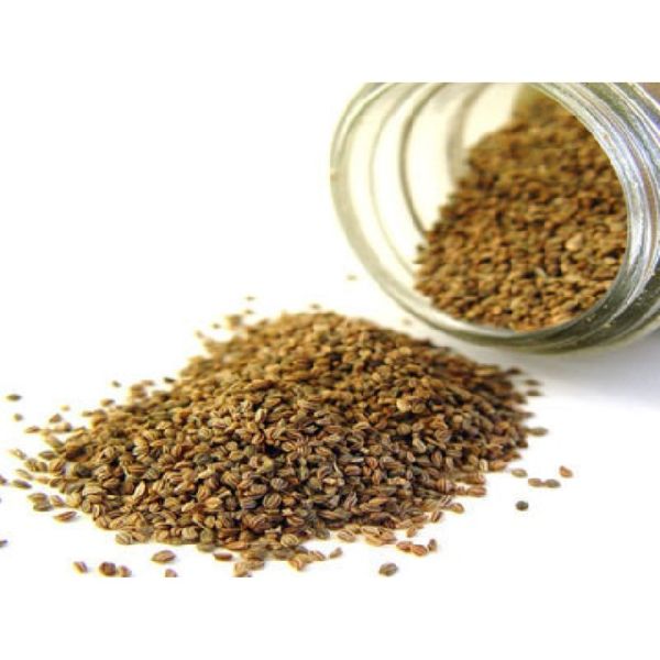 Calery Seed Essential Oil