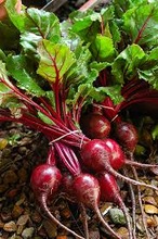 fresh beetroot