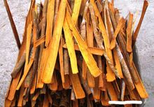 Vedantha Cinnamon, Certification : ISO, USDA, INDOCERT