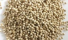 Vedantha white pepper, Certification : HACCP