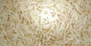 Hard Organic non basmati rice, Shelf Life : 6 Months