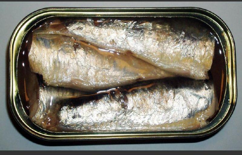 best canned sardine from morocco in oil