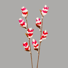 Decorative Dried Flower