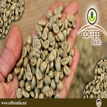 Arabica Coffee Bean