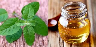 Natural Tulsi Honey, for Personal, Clinical, Taste : Sweet