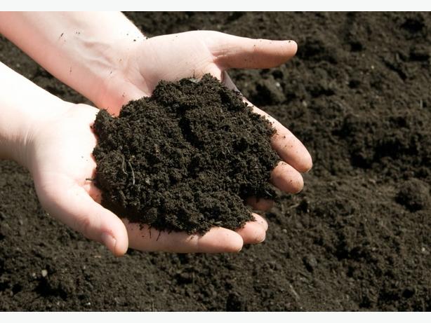 GIR COW DUNG COMPOST, Production Capacity : 25 TON PER MONTH