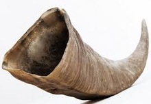 Organic Material Raw Buffalo horn, Color : Black, Brown White