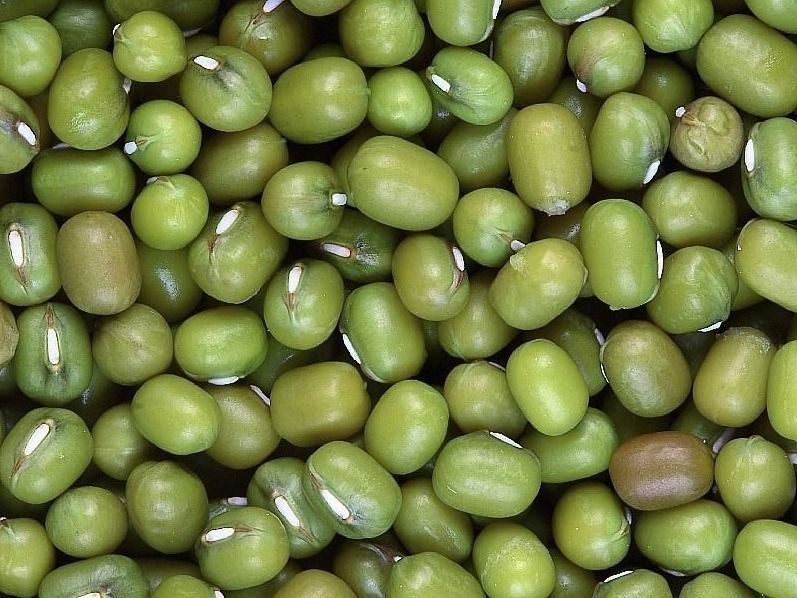 Green Mung Bean