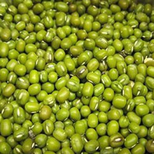 Green Mung Bean