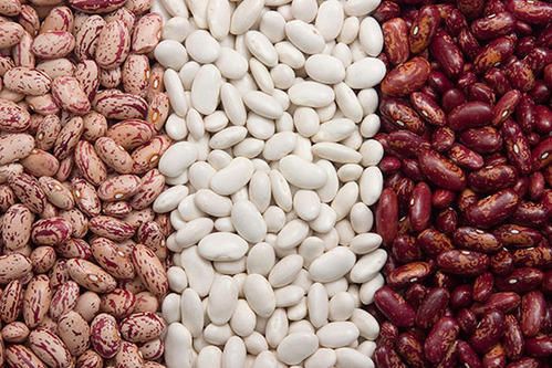 kidney beans