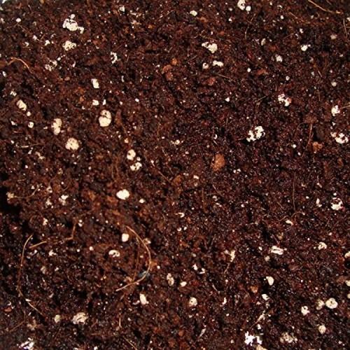 Coco Peat Powder, for Construction, Color : Red