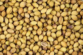 Organic coriander seeds, for Cooking, Food