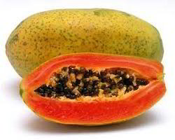 Organic Fresh Papaya, Grade : Premium