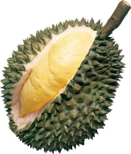 Organic Durian Fruit, Specialities : Good For Health, Good For Nutritions