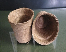 Coir Coco Pot