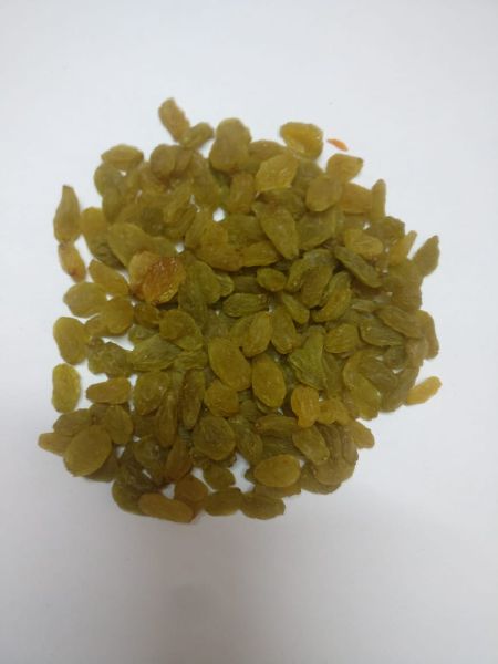 Organic Kashmiri Raisins, Packaging Type : Vacuum Bag