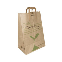 Printed Carry Paper Bags, for Shopping, Feature : Recyclable