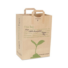 Printed Gift Paper Carry Bags