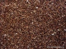 Common Brown Sesame Seeds, Purity : 99%