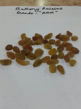 UOL 25 Common golden raisins, Taste : Sweet