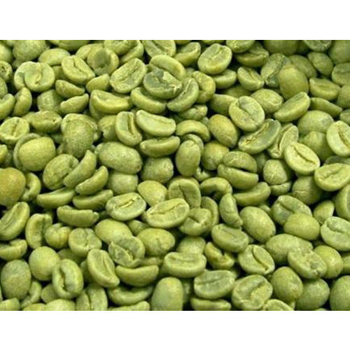 Common Green Coffee Bean