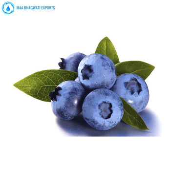 Blueberry Seeds Essential Oil