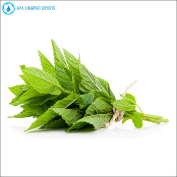 Pure Spearmint Essential Oil