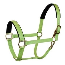 Nylon Horse Halter