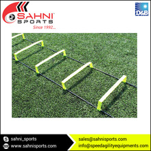 Ton Elevated Agility Ladder