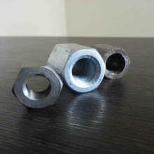 Bolt nut